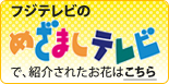 めざましテレビで紹介されたお花はこちら